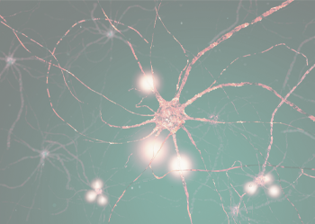 Tools, practices, and insights that may help calm an overwhelmed nervous system